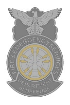 7t - DD FES Chief two tone Metal Badge
